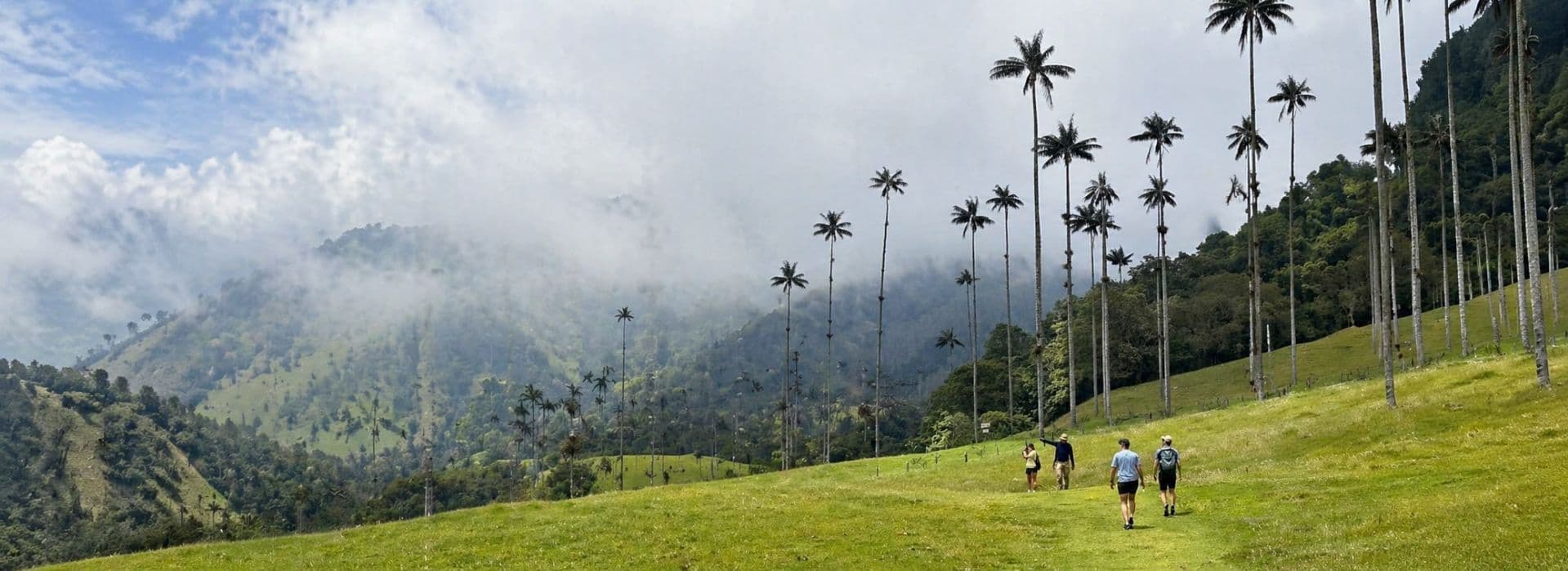 Paisaje Cultural Cafetero: naturaleza, cultura y viajes con sentido