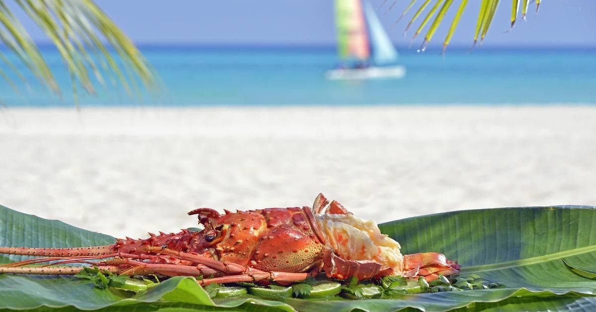 Hotel Paradisus Los Cayos