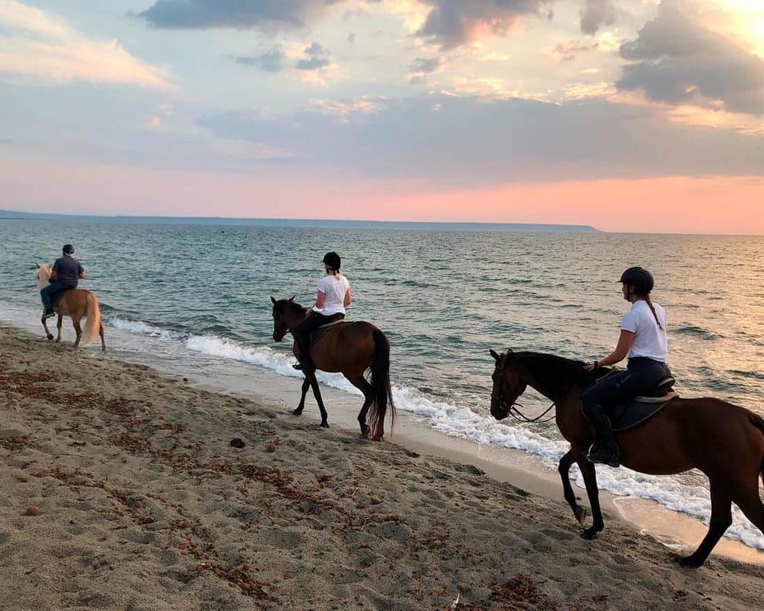 Horse Country Club Resort Hotel