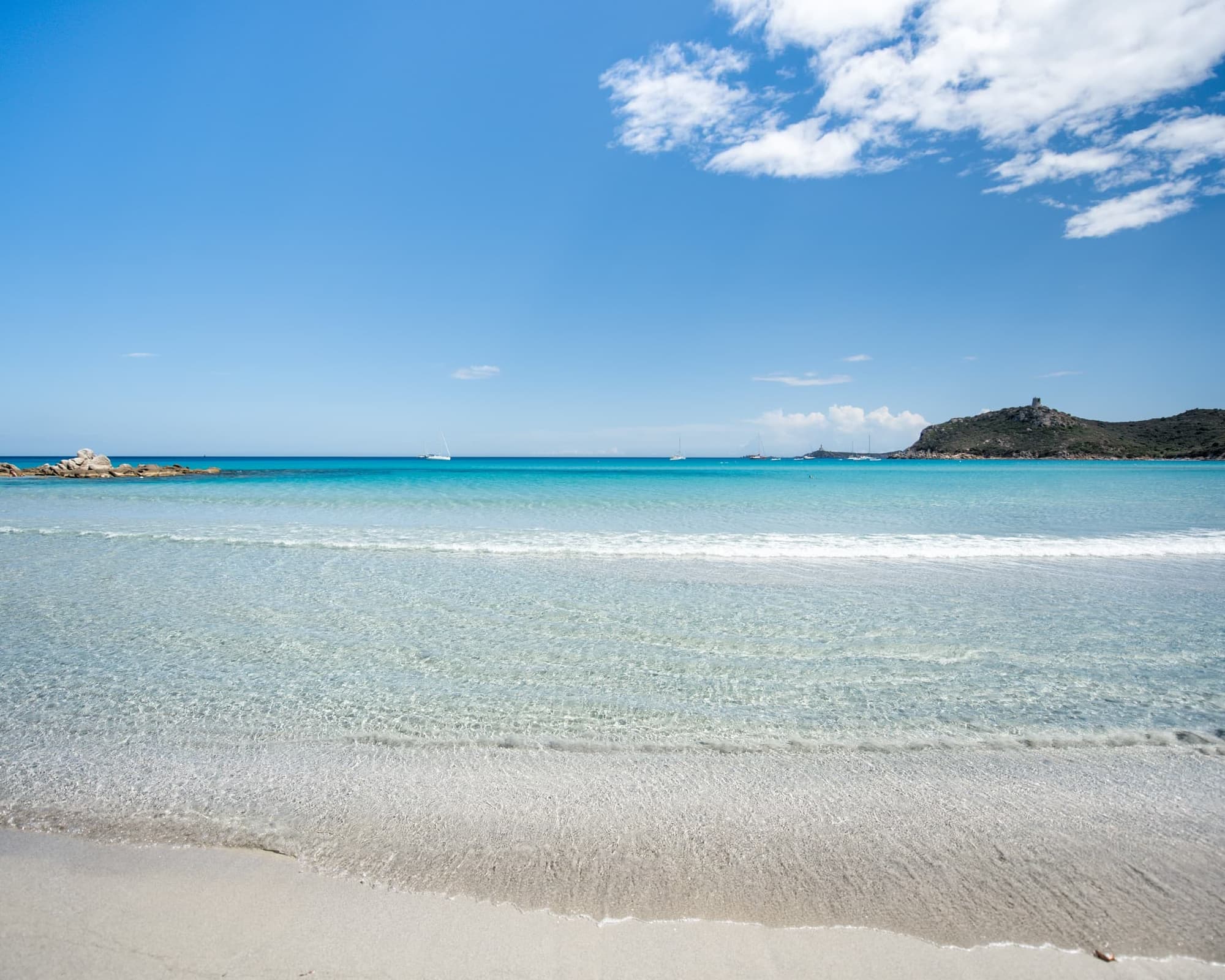 Almar Timi Ama - GATTINONI