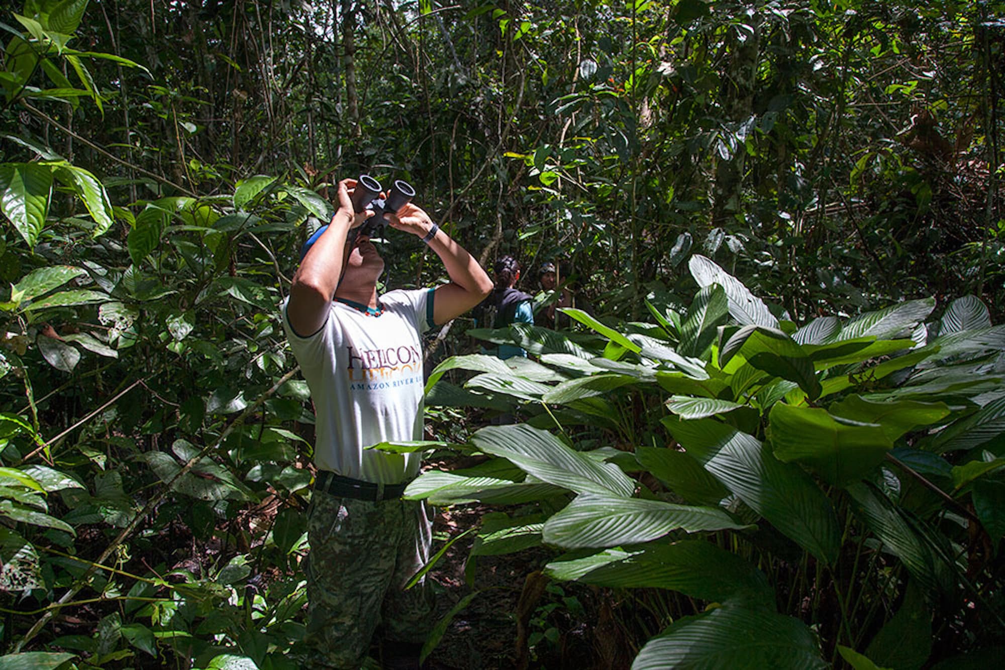 Heliconia Amazon River Lodge [Bloqueos]