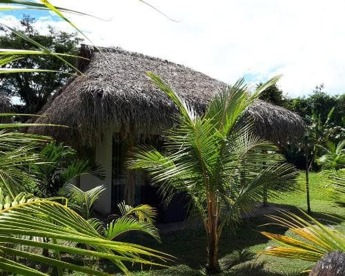Coconut Eco-Bungalows & Lagoon Pool