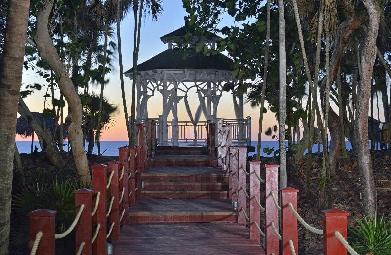 Sol Palmeras, Conferences