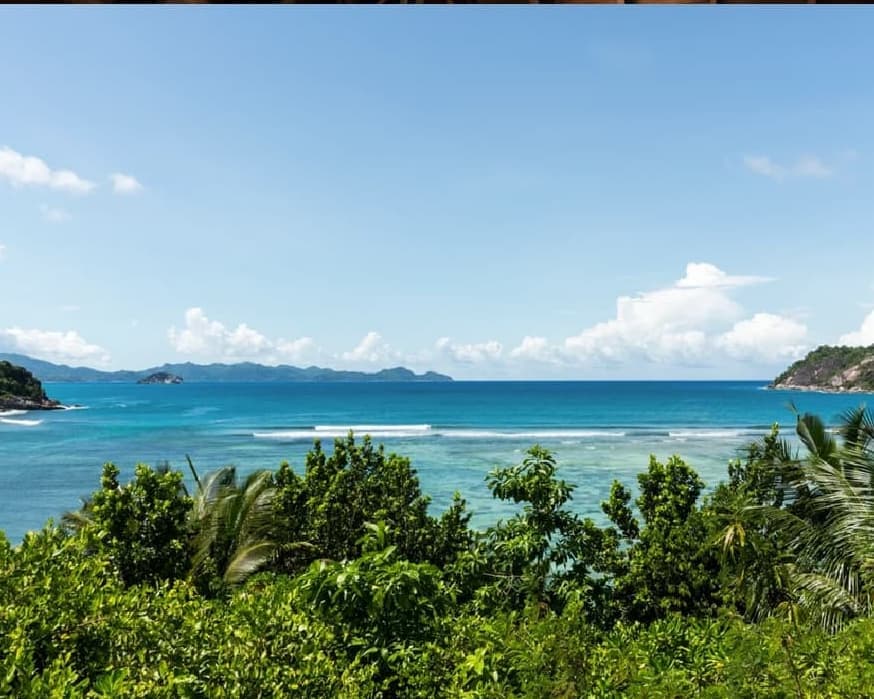 Constance Ephelia Seychelles - GATTINONI