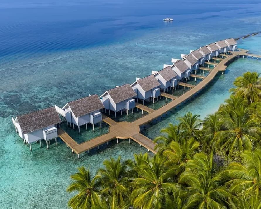 Niva Kuramathi Maldives - GATTINONI