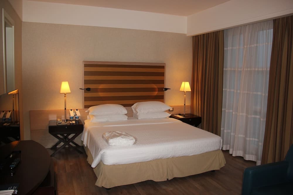 Sheraton Parco de' Medici Rome Hotel