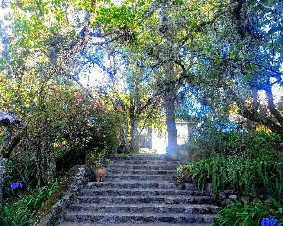 Hotel El Patio de Monterrey