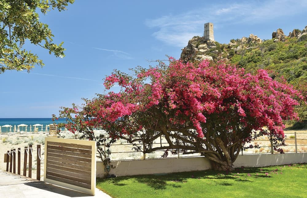 old111-Hotel Club Torre Salinas - GATTINONI