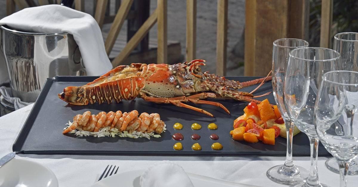 Hotel Paradisus Los Cayos