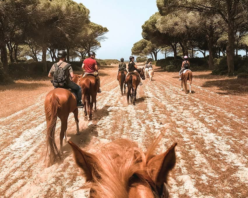 Horse Country Club Resort Hotel