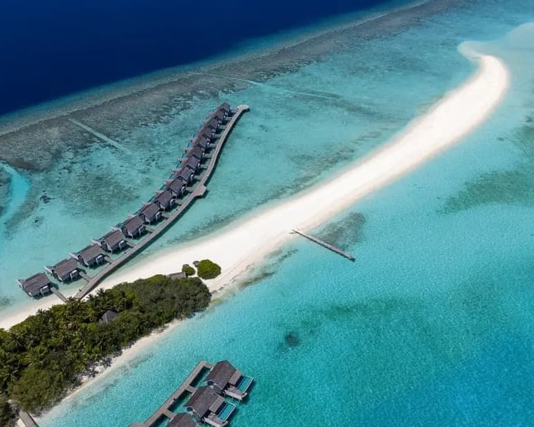 Niva Kuramathi Maldives - GATTINONI