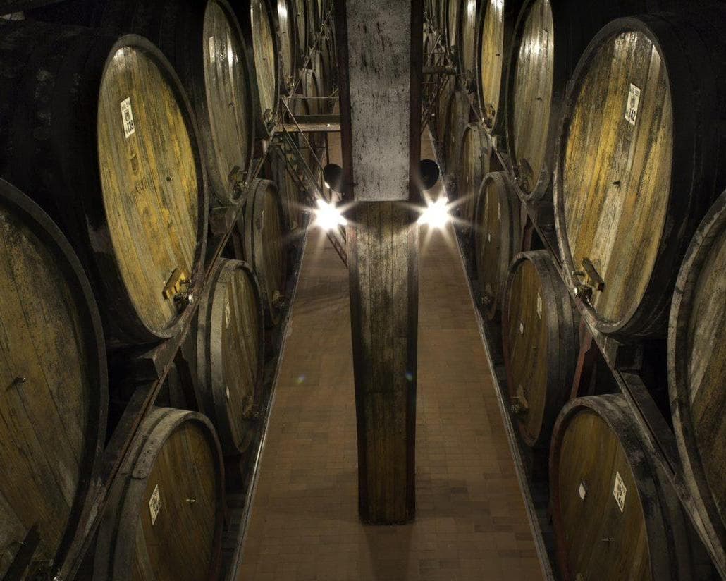 Foresteria delle Vigne, 