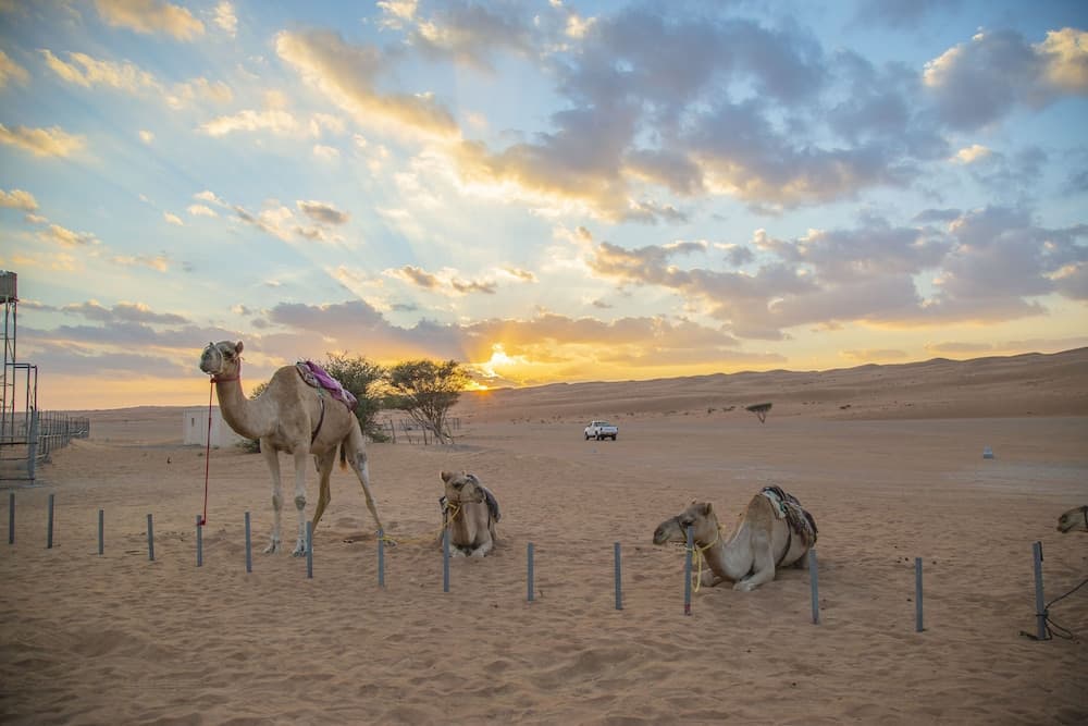 Sama Al Wasil Desert Camp, Exterior