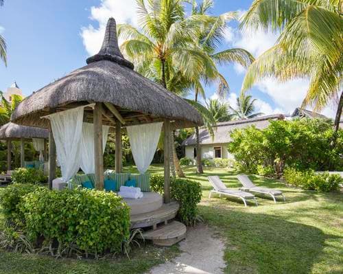 Ambre - Adults only - Airone Selection, 