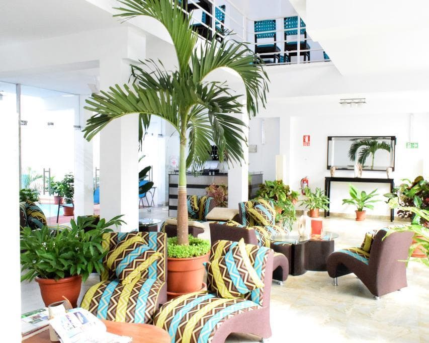 Jungle House