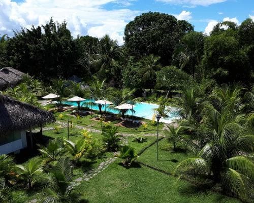 Coconut Eco-Bungalows & Lagoon Pool