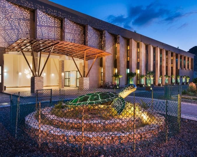 Ras Al Jinz Turtle Reserve, 