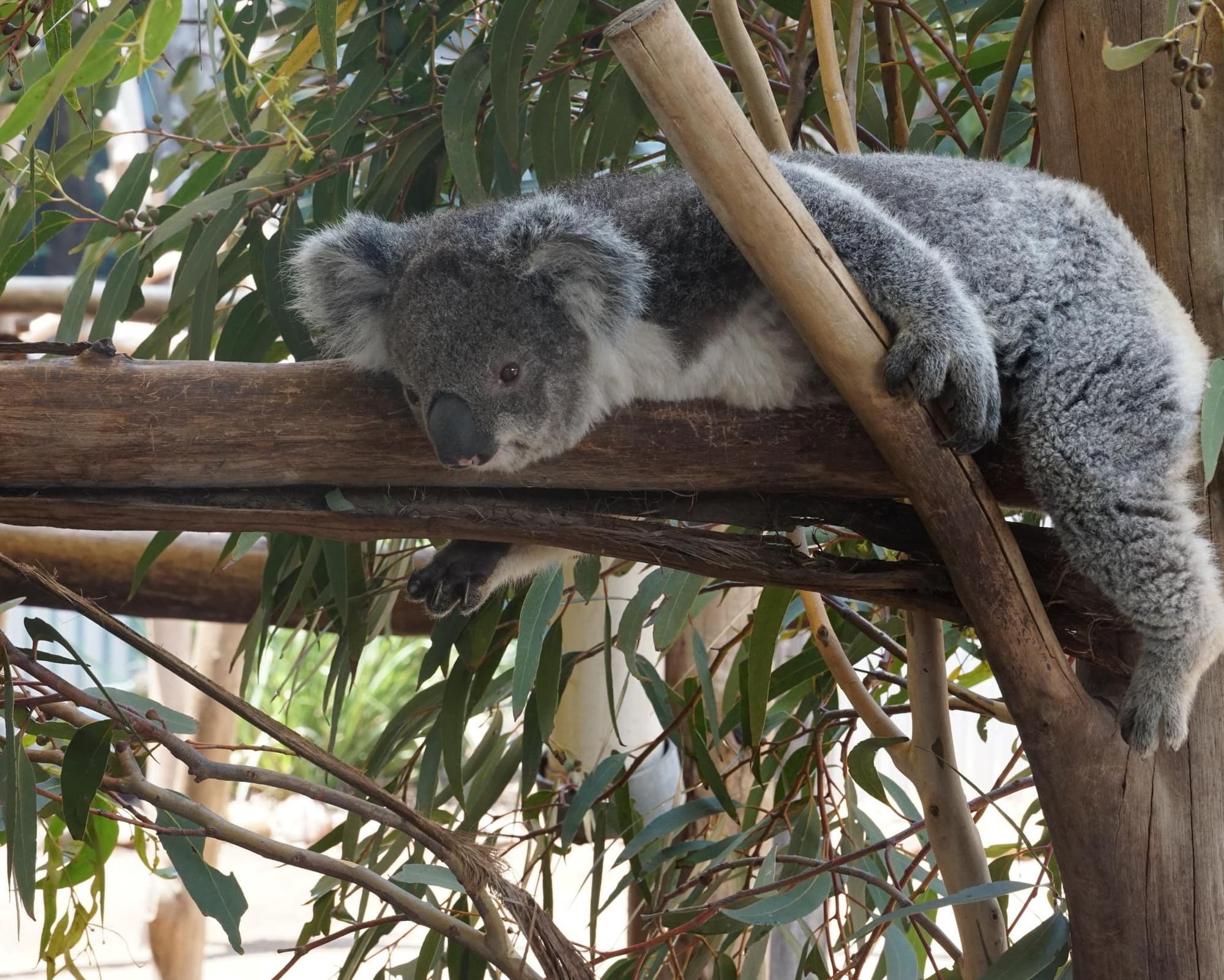 Port Stephens, Australia