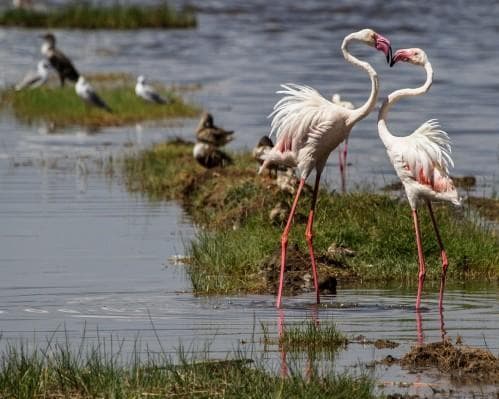 East Africa & Zanzibar Overland Safari & Participation Camping