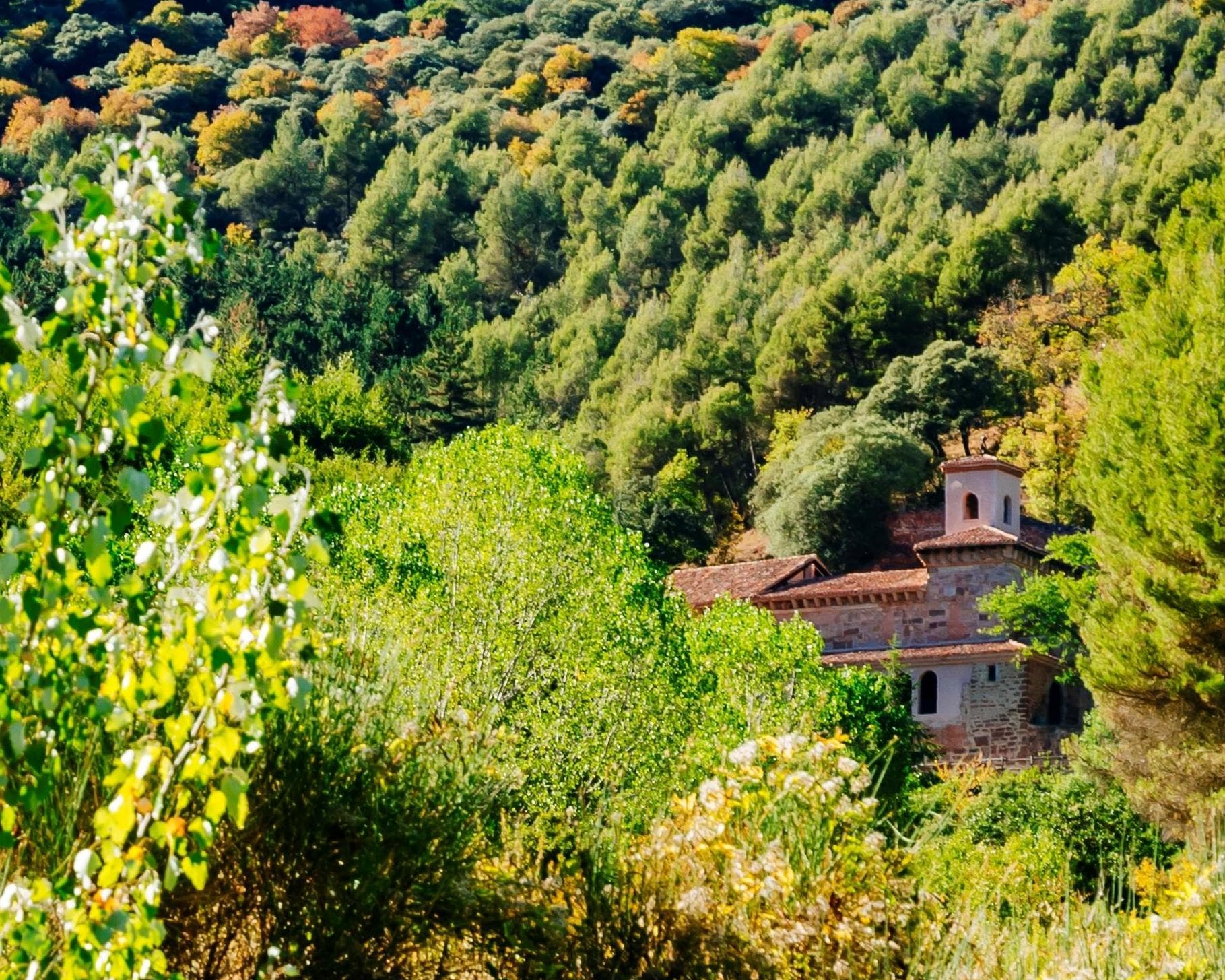 Lr - La Rioja Y Navarra, Tierras De Vino