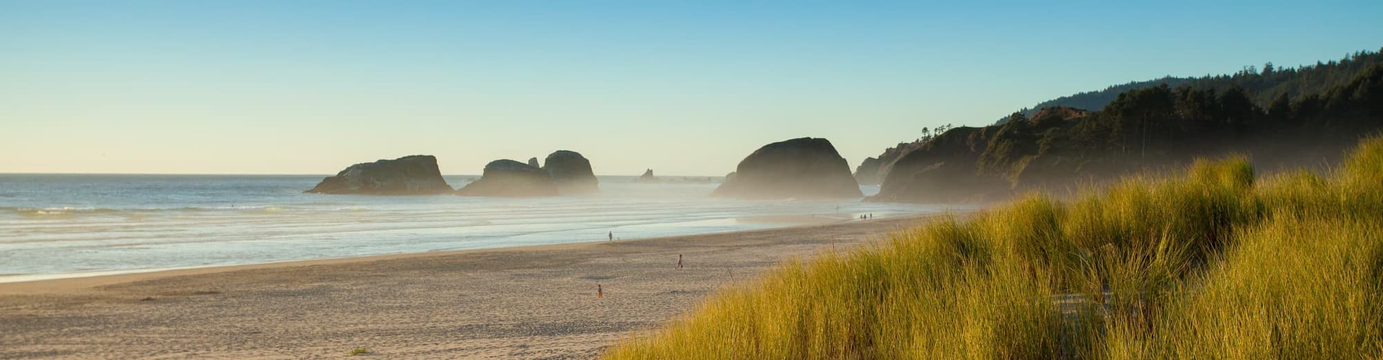 Costa O, Estados Unidos de América