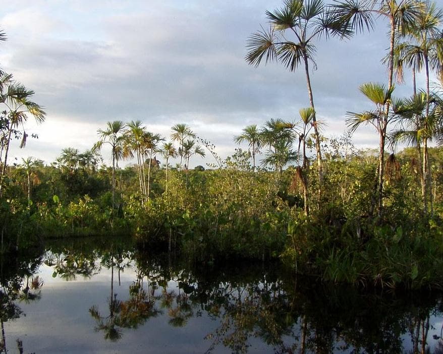 FR Xperience Equateur & Amazonie Profonde & Galapagos 2027