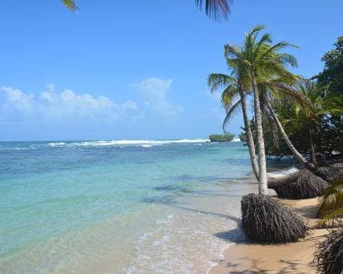 Isla Bastimentos, Panamá