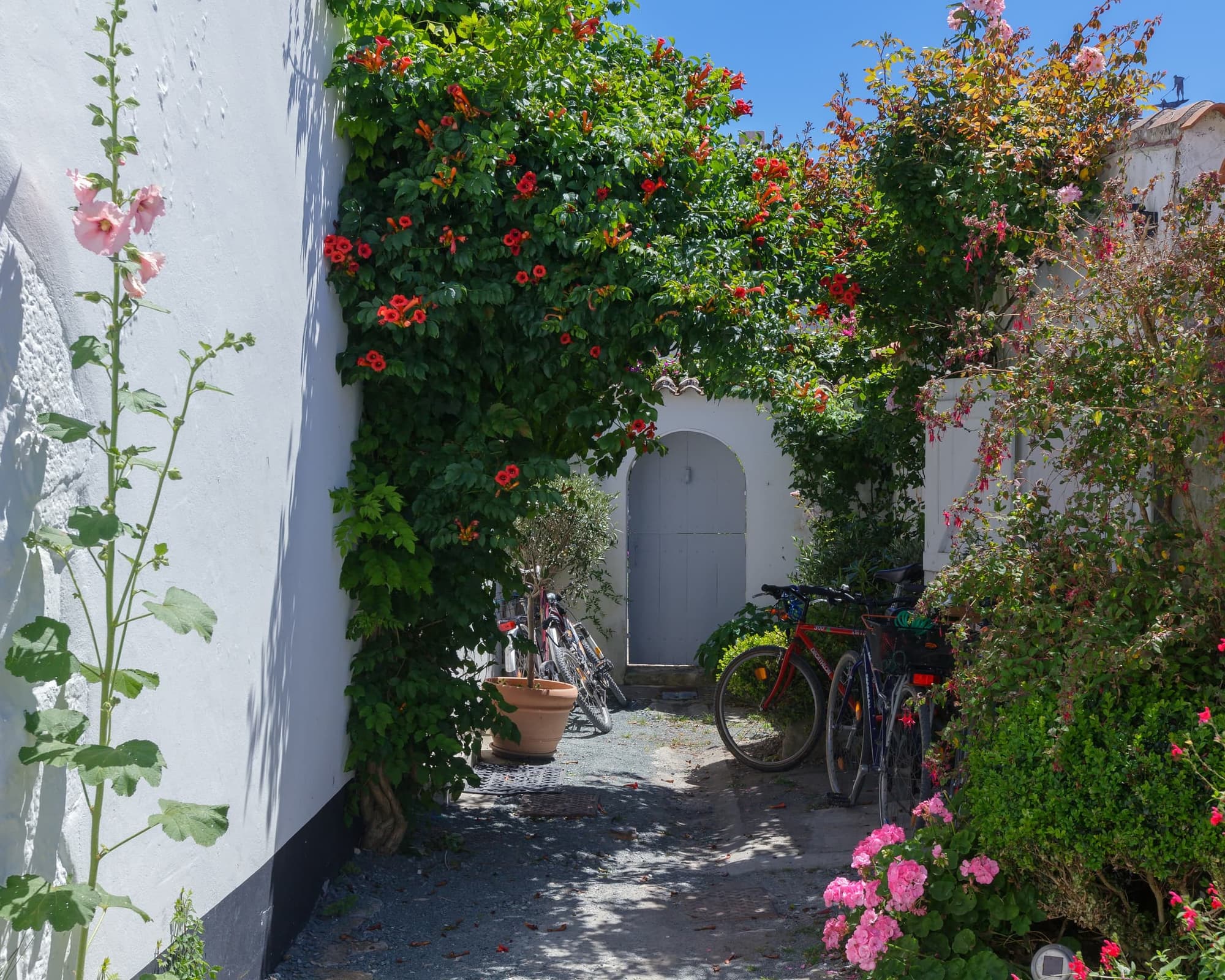 Ars-en-Ré, Francia