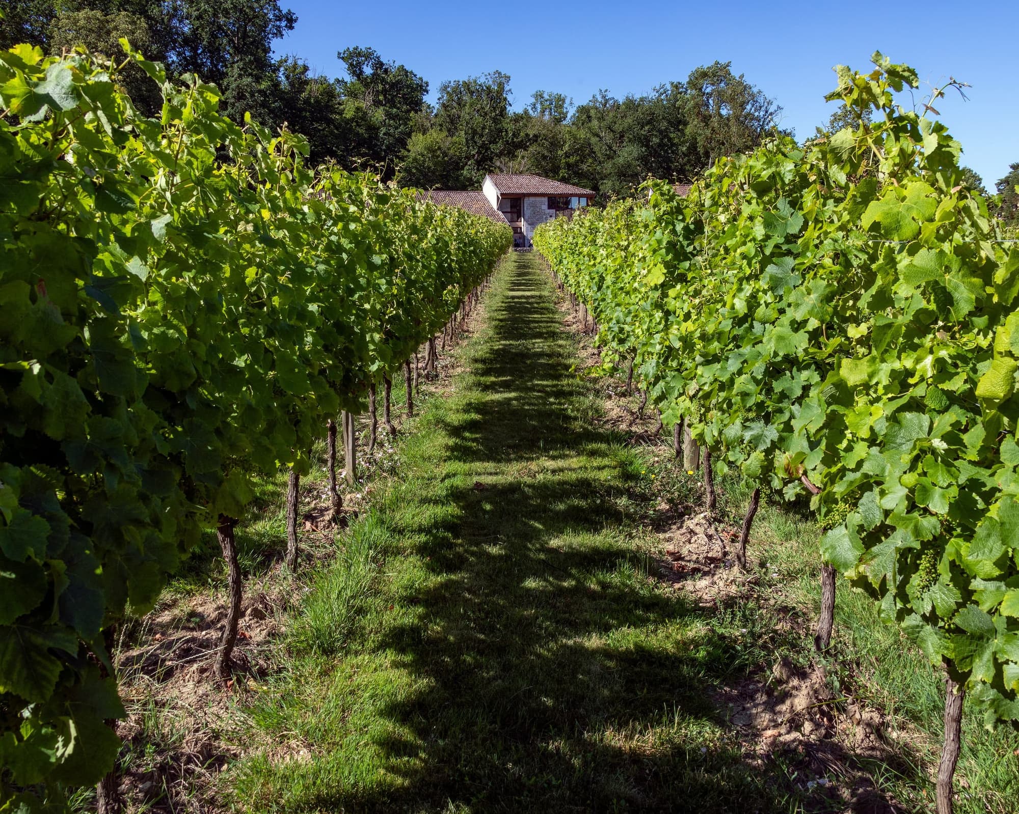 Monbazillac, Francia
