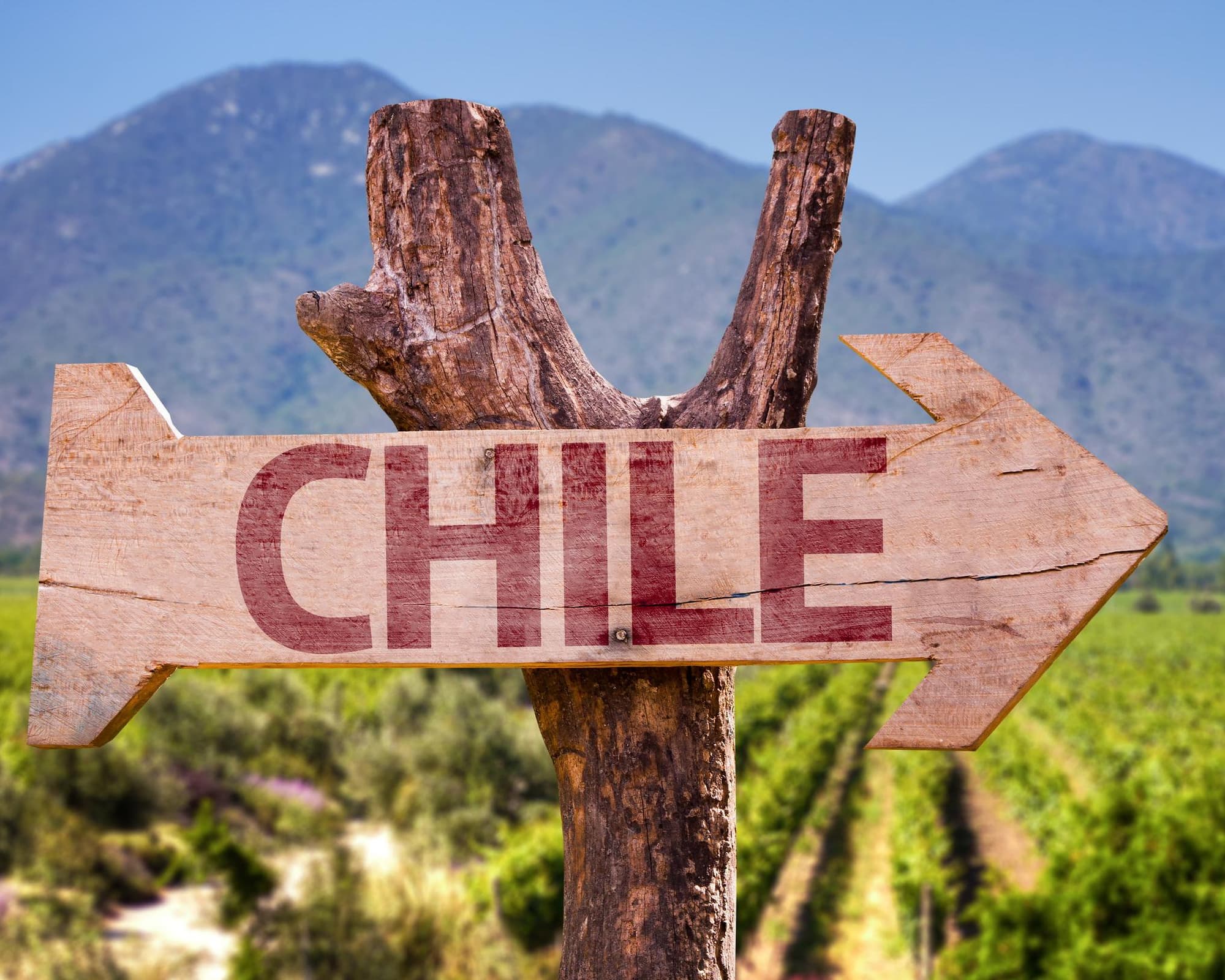 GIR en Patagonie Argentine-Chili 2026-27