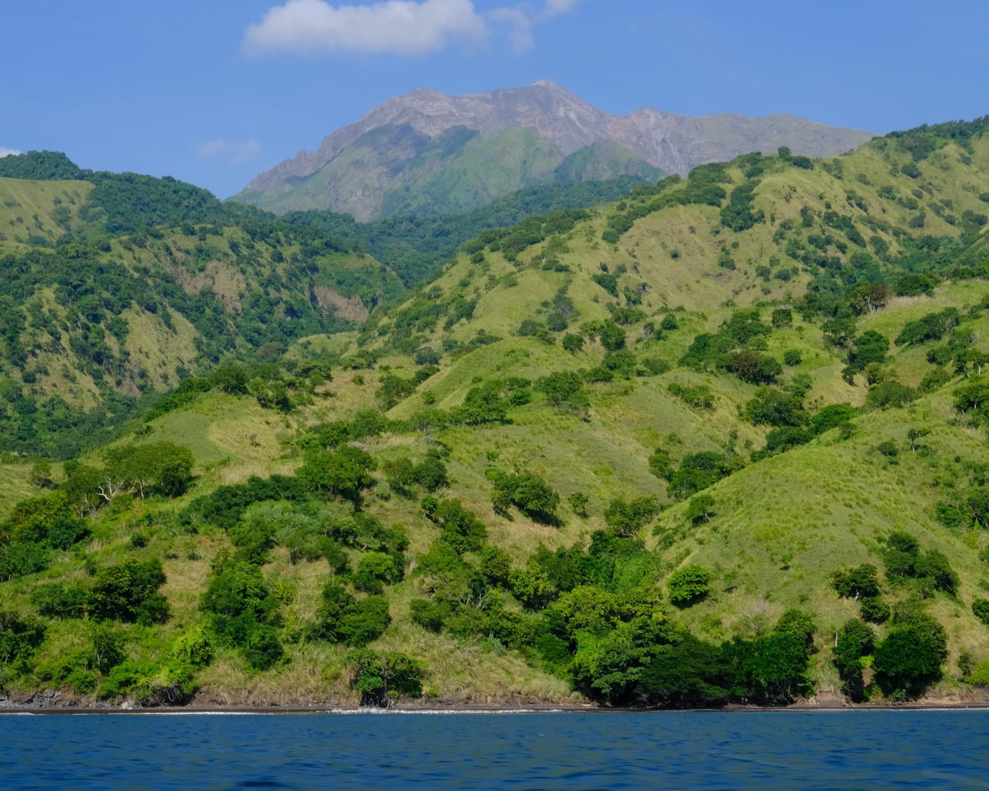 Badas Sumbawa, Indonesia