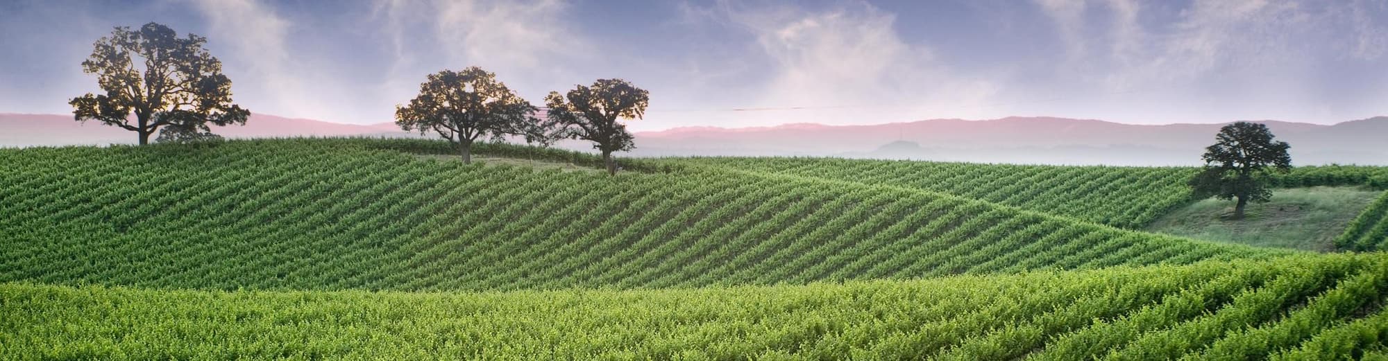 Crema, Italië