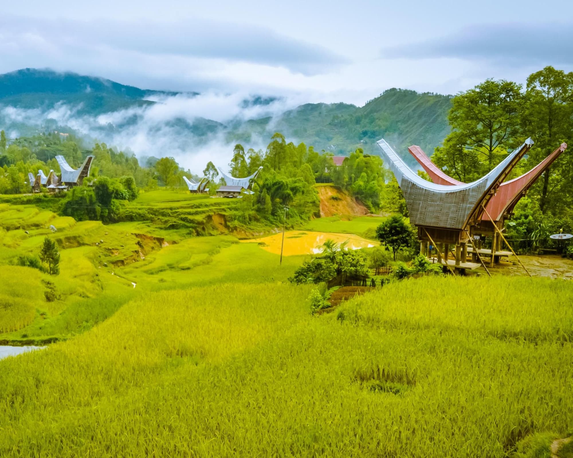 Toraja, Indonesien