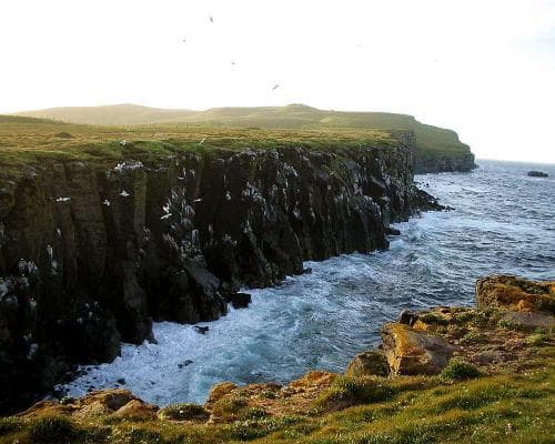Highlights of Iceland - Expedition cruise