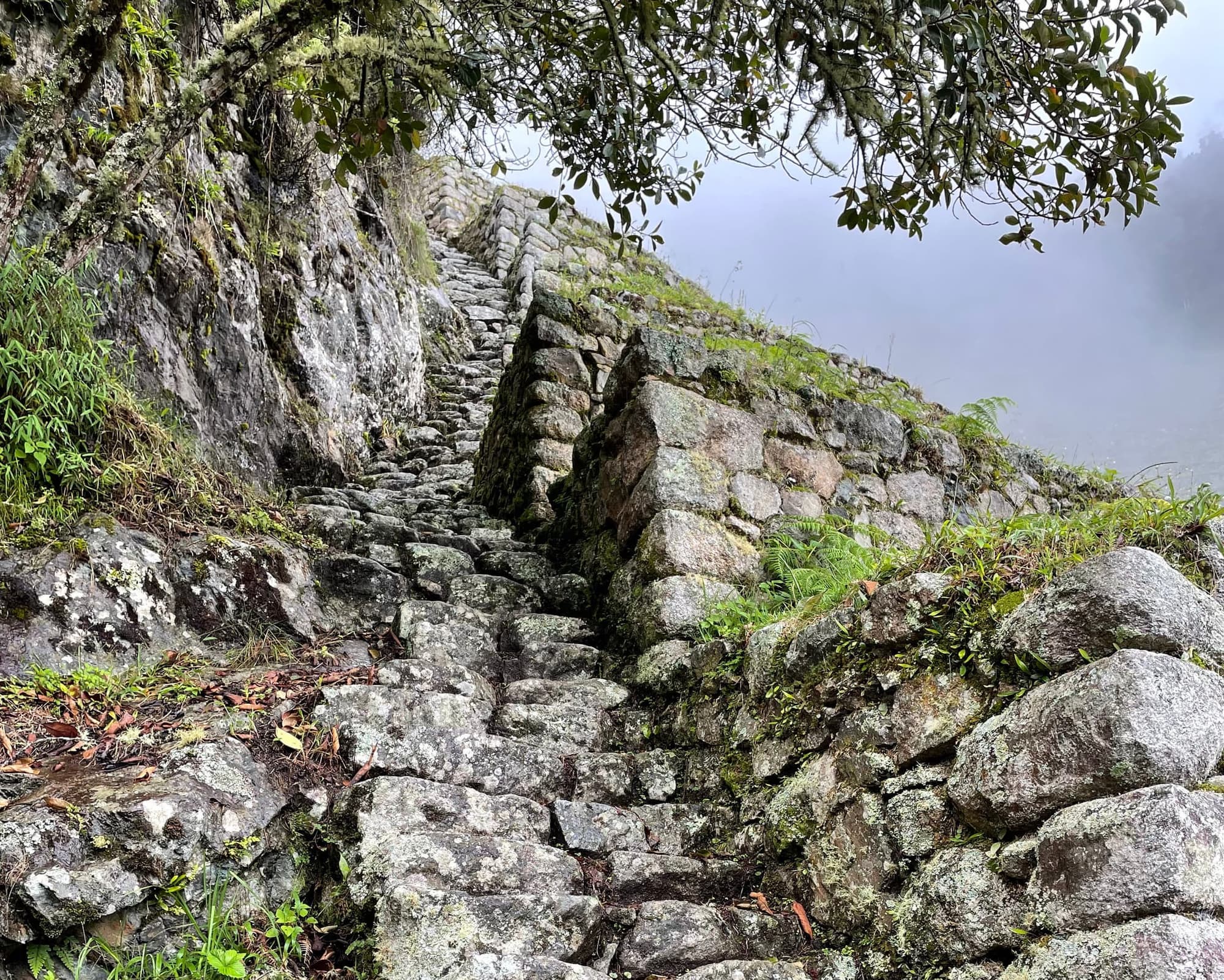 Camino del Inca en tren Expedition 4D/3Nts