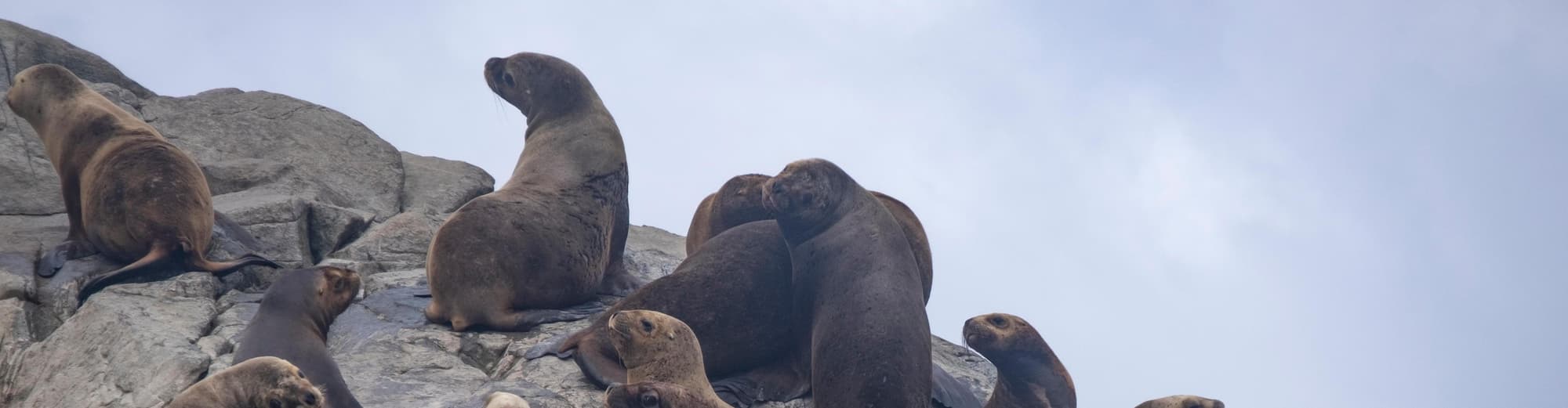 Glacial Alley, Argentina