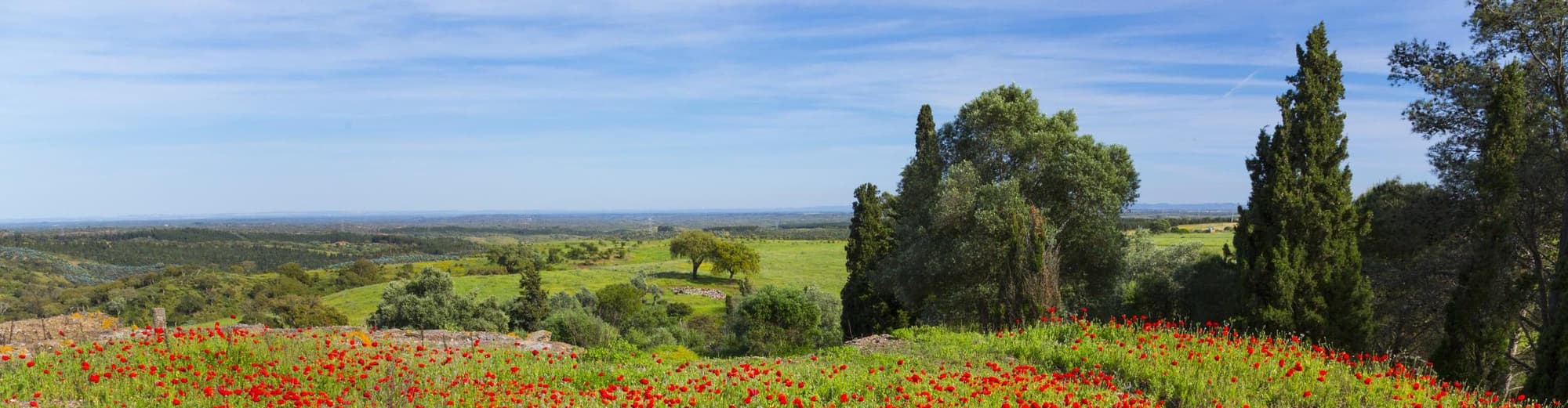 Santiago do Cacem, Portogallo