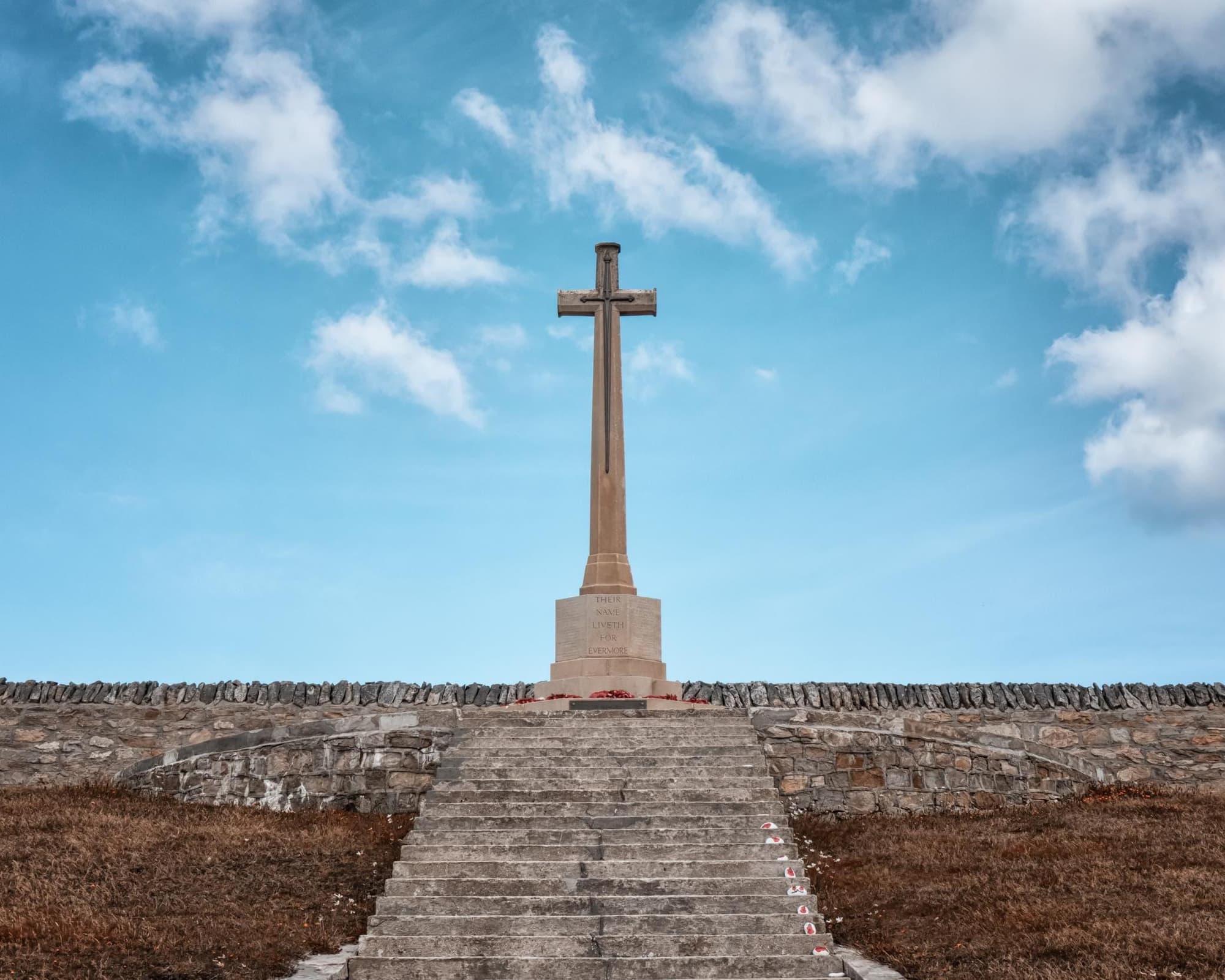 Majestic Princess: Patagonia y Fiordos 15 noches