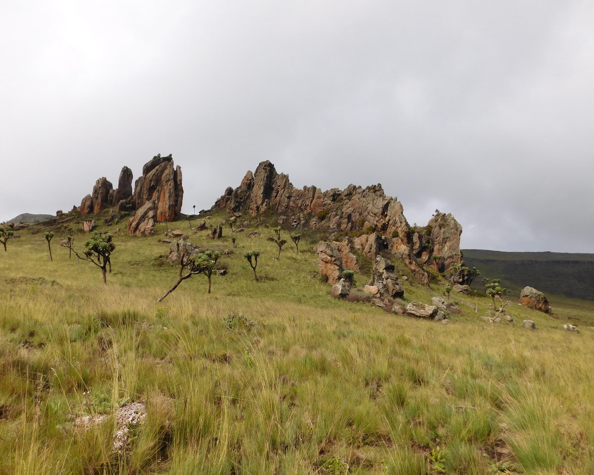 Hiking and Trekking Adventure Safari