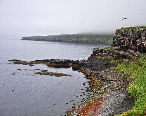Highlights of Iceland - Expedition cruise