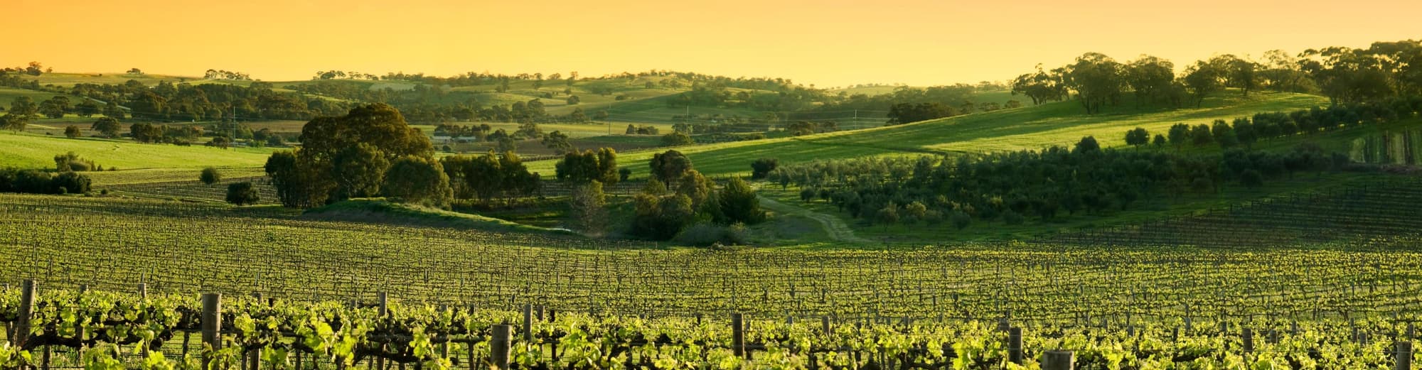 Barossa Valley, Australia