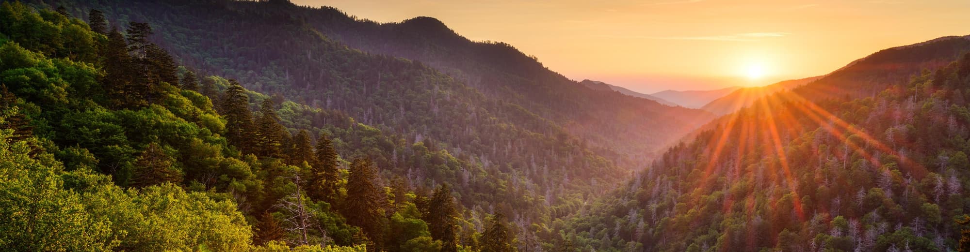 Great Smoky Mountains, Stati Uniti d'America