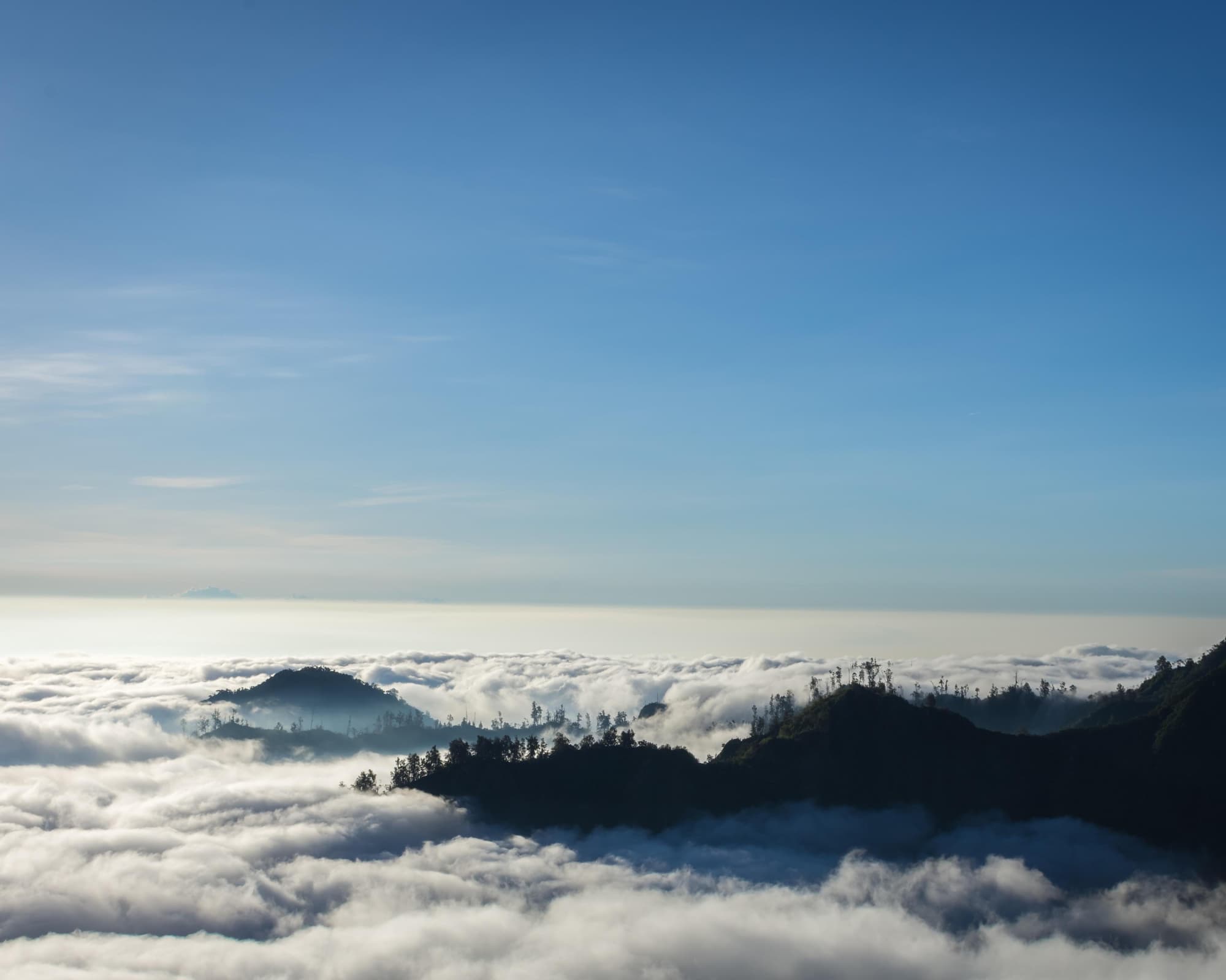 Java et Bali, terres de contraste