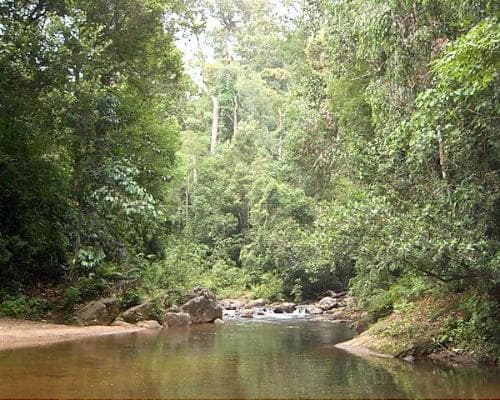 The Vivid Green of Sri Lanka