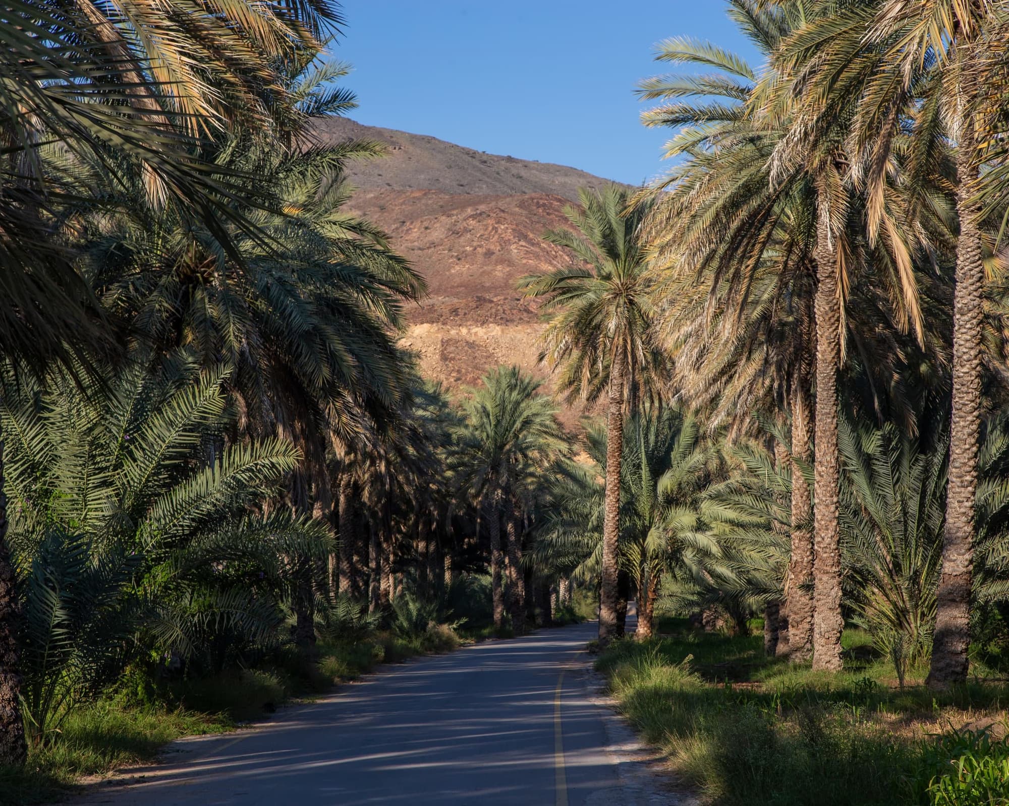 Birkat Al Mouz, Oman