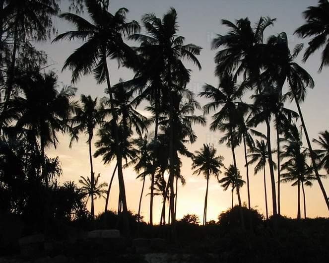 PS - Combiné Tanzanie/ Kenya et plages de Zanzibar
