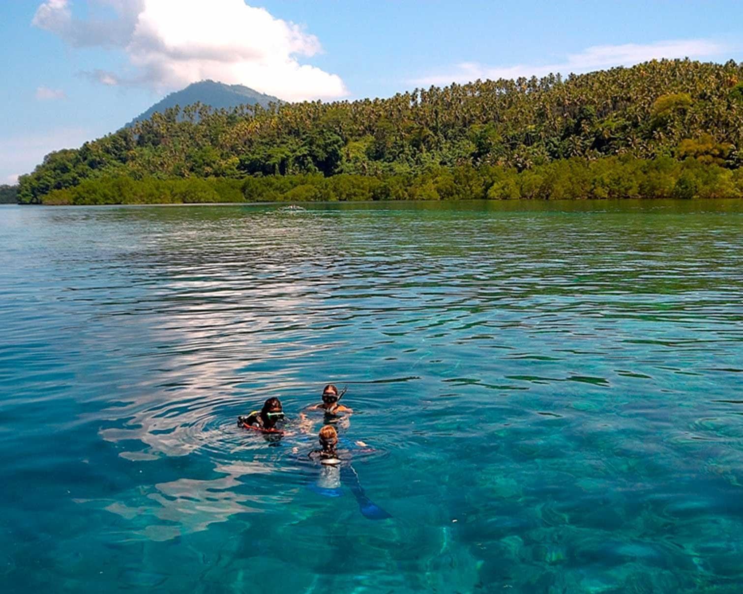 Les incontournables de Sulawesi