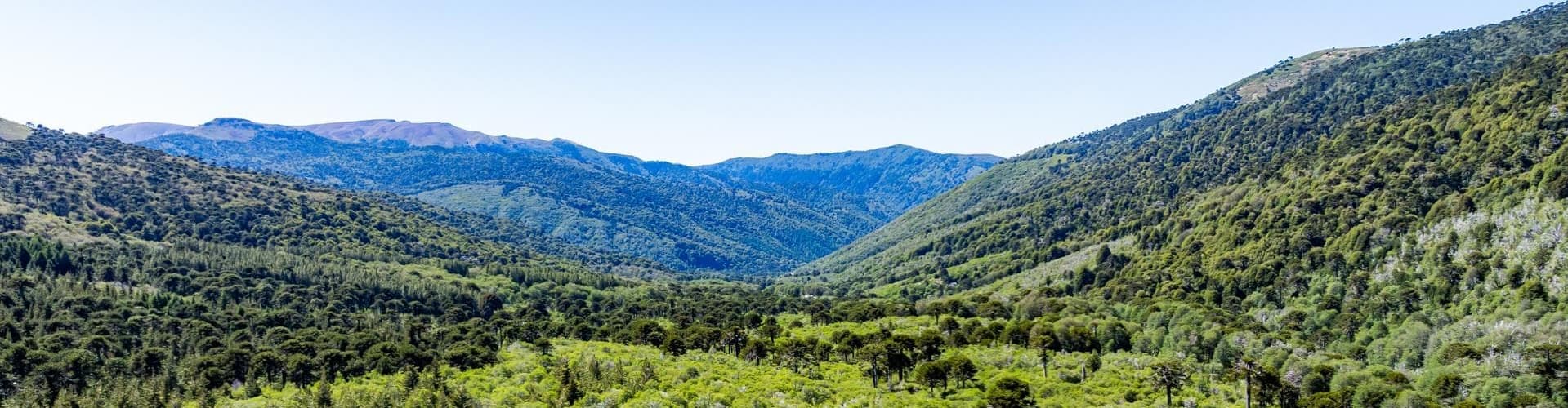 Malalcahuello, Chile