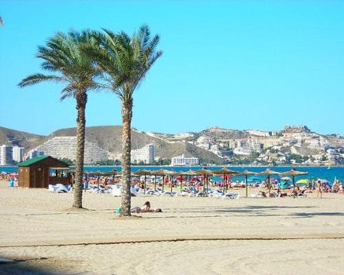 COMUNIDAD VALENCIANA, CULTURA MEDITERRANEA 2026