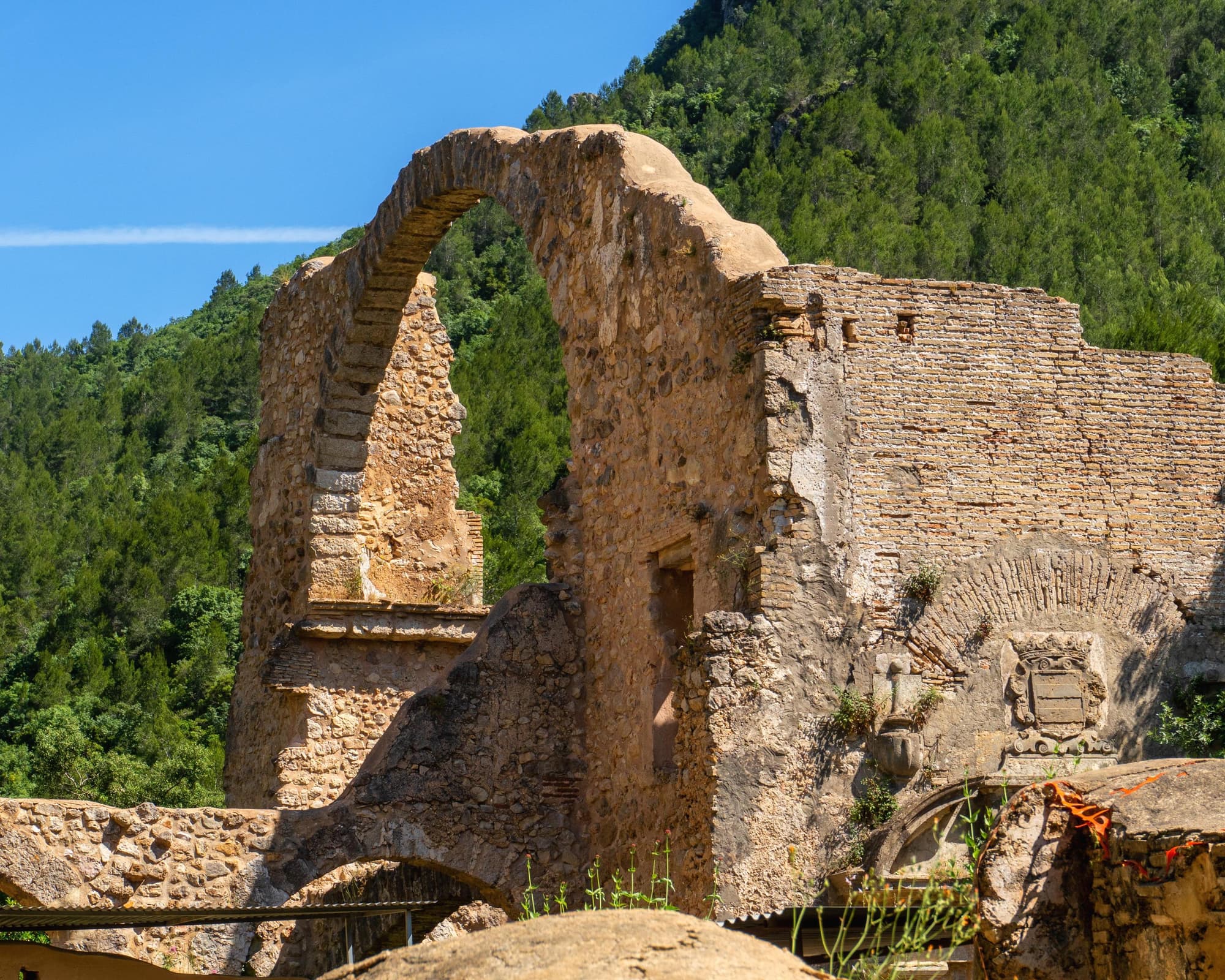 Lr - Comunidad Valenciana, Cultura Mediterránea